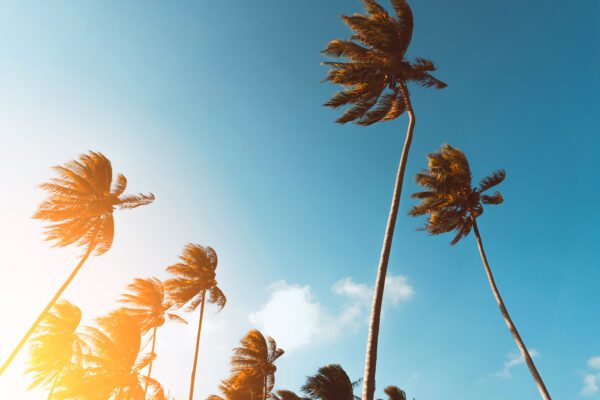 summer ecommerce slowdown