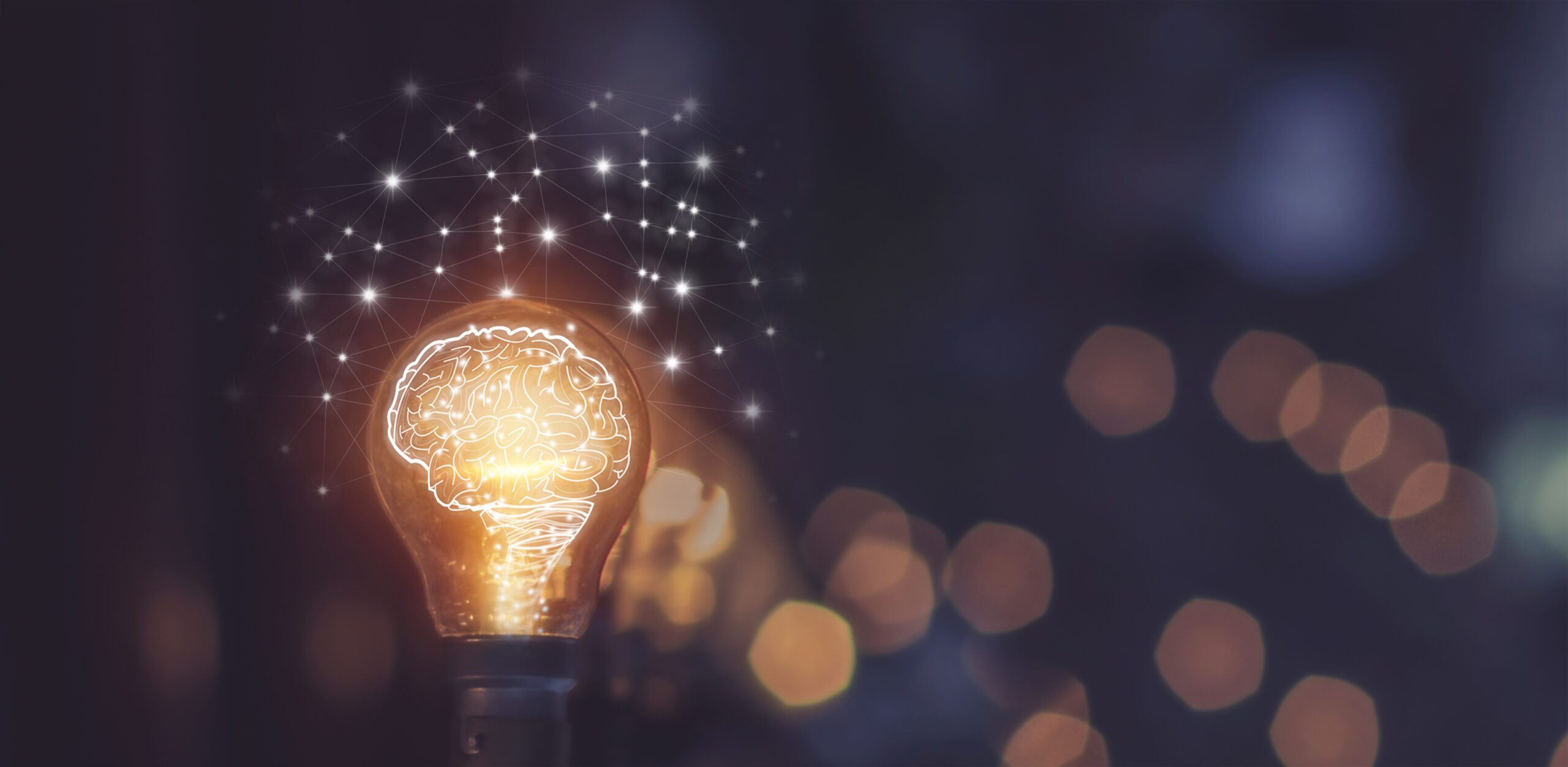 How to Include Re-Optimization in Your SEO Strategy: A Guide